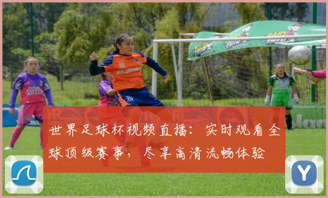 世界足球杯视频直播：实时观看全球顶级赛事，尽享高清流畅体验