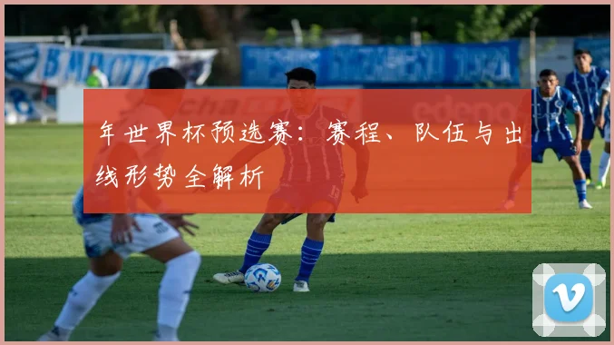 年世界杯预选赛:赛程、队伍与出线形势全解析